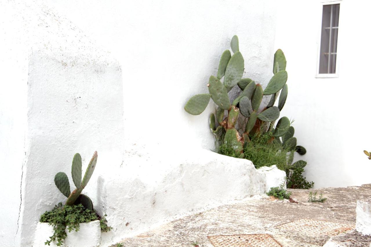 Monolocale Ilporticciolovacanze Villanova di Ostuni Bagian luar foto